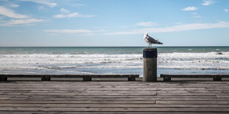 3 совета, которые помогут соблюдать социальное дистанцирование, даже если оно вам уже надоело