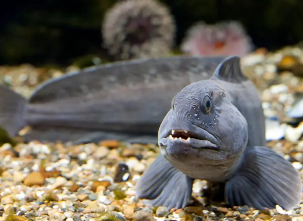 myLoupe/Universal Images Group via Getty Images