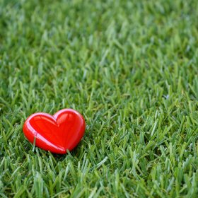 Человек с временным титановым сердцем прожил 100 дней