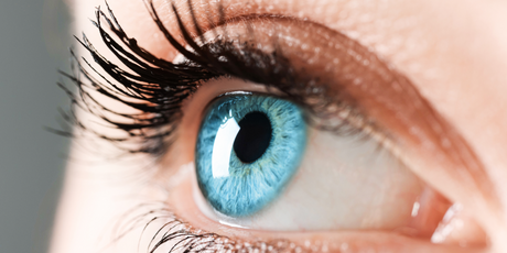 Впервые напечатанная на 3D-принтере роговица глаза вернула зрение слепому человеку