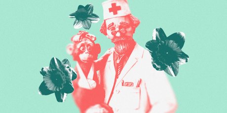 «Вы не задумывались, что доктор Айболит — нарцисс?»: так ли страшен нарциссизм, как мы думаем