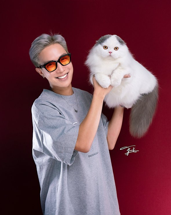 Кот из Таиланда