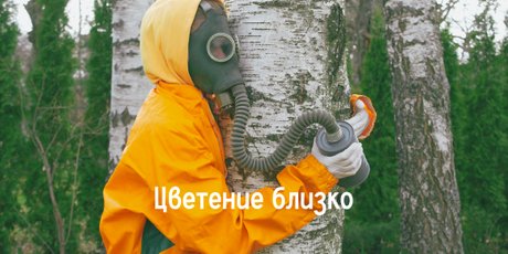 17 мемов про весеннюю аллергию – для всех, кто устал чихать и кашлять от пыльцы