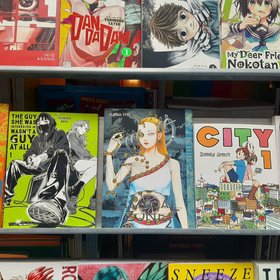 Количество бронирований путевок в Японию сократилось из-за предсказания в комиксе