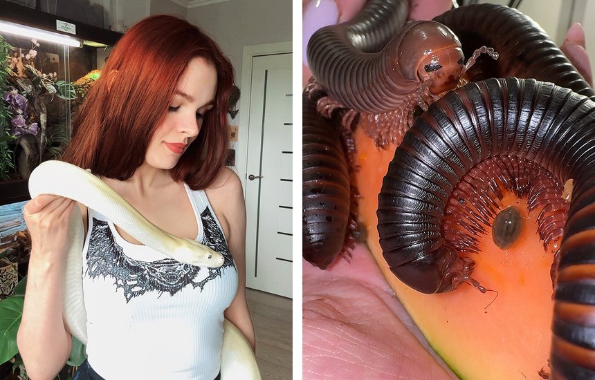 Лана Кин. «Ты же любишь задохликов. Хочешь?»: монолог хозяйки нескольких десятков варанов, рукокрылых и многоножек