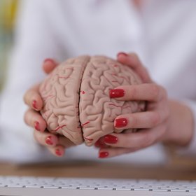 ИИ научился воссоздавать изображения, которые видит человек, по снимкам его мозга