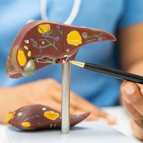 Новый ИИ повышает эффективность пересадки печени на 60%