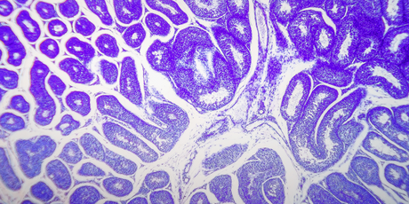 Китайские ученые изобрели инструмент для редактирования генов, с помощью которого можно будет вылечить неизлечимые болезни