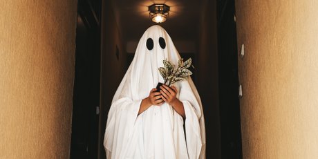 «Получаю 270 тысяч и абсолютно ничего не делаю»: интервью с 20-летним айтишником, который имитирует работу