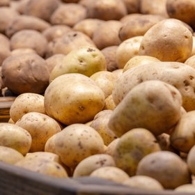 В соцсетях новый тренд: зумеры кладут картофель в носки, чтобы «избавиться от токсинов»