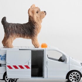 В Госдуме предложили создать скорую для питомцев