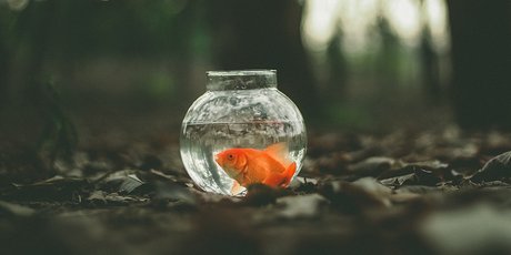 «Усваивайте информацию по частям». Почему мы так много забываем и как с этим бороться