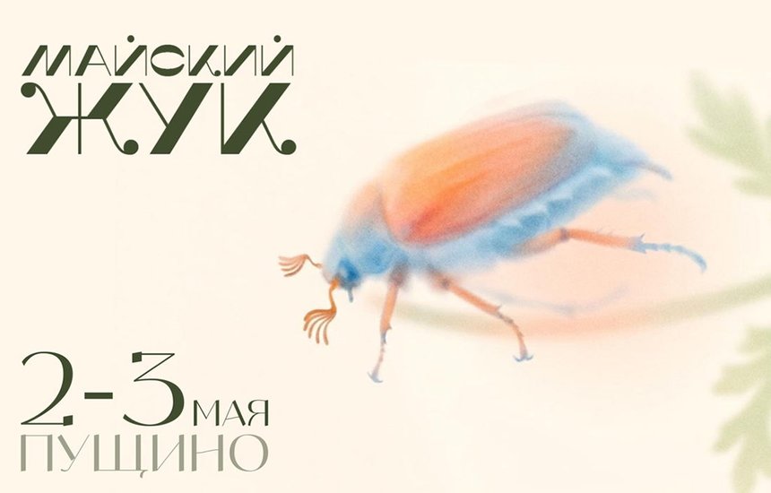 Фестиваль «Майский жук»