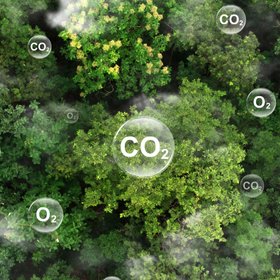 Ученые создали листья, которые могут перерабатывать углекислый газ в углеводороды