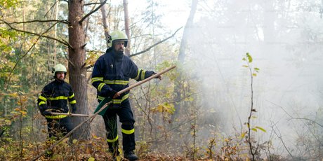 Крупнейшая поисковая операция в Красноярском крае: что известно о пропаже семьи Усольцевых