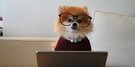 5 способов онлайн-нетворкинга для всех, кто ищет работу или полезные контакты