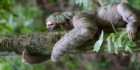 «Замедлитесь и подумайте». Упражнения и советы, которые помогут найти ответы на сложные вопросы