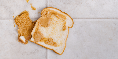 «Микробы так быстро не передвигаются», — 73% опрошенных британцев съедят упавшую на пол еду, если сразу поднимут