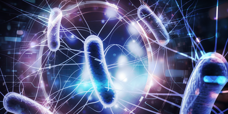 Ученые создали бактерию, которая поедает опухоли изнутри