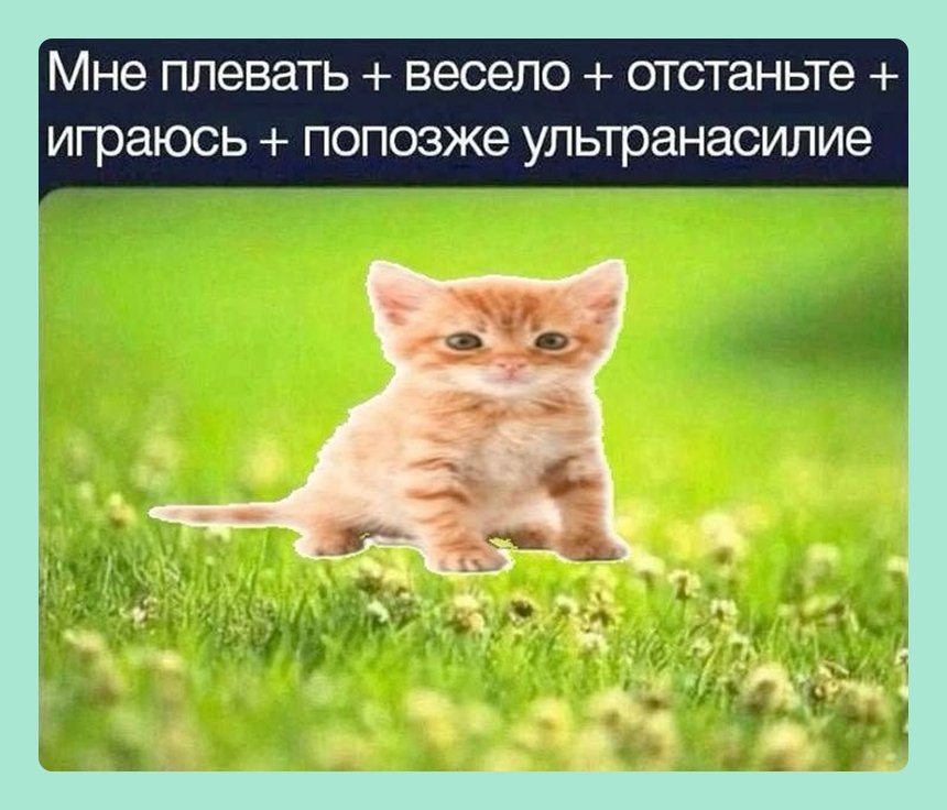18 мемов на майские праздники — про шашлык, дачу, мир, труд и так далее
