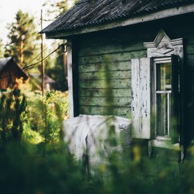 «Я сегодня просыпаюсь — а у меня мышь на столе сидит, книжку жрет»: как я попыталась сбежать от городской суеты в деревню