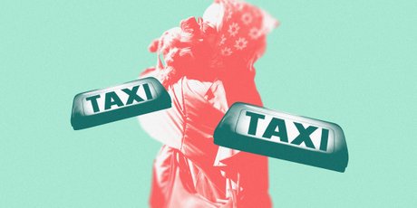 Что такое зоотакси, как оно работает и кто его водит