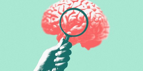 Наш мозг работает на 10%. Правда или ложь?