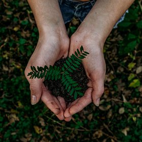 Шанинка и Living Lab проведут открытое занятие курса «Новая экология»