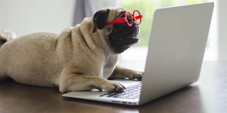 7 привычек людей, которые (зря) сомневаются в своем интеллекте