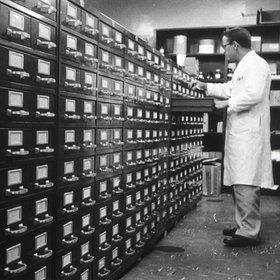 Курс дня: разбираемся в базах данных вместе с ВШЭ и Политехом