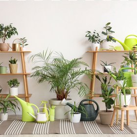 В Канаде на основе технологий NASA создали «аквариум» для выращивания растений. Устройство выглядит очень футуристично