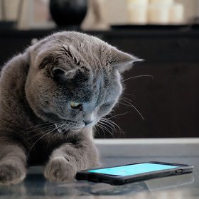 Хотели как лучше... Запрет на проверку рабочей почты вне офиса приводит к еще большему стрессу