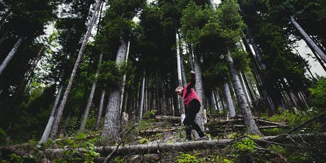 7 шагов, которые помогут сохранить внутреннее равновесие во время пандемии