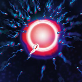 3 новые биологические теории, которые изменили наши представления о мире