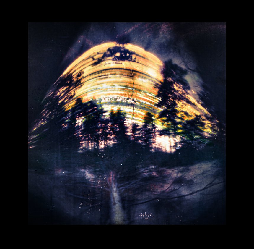 В лесу упало дерево. Выдержка: 402 дня