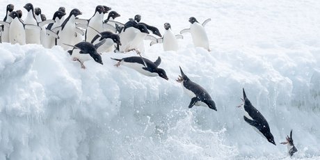 Как помочь команде пережить изменения: 6 советов для лидеров и менеджеров