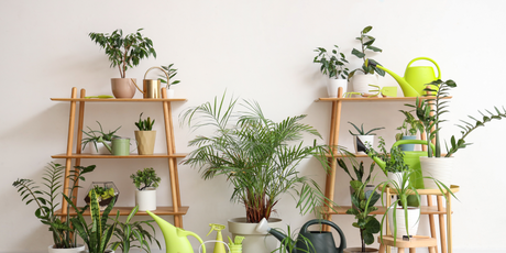 В Канаде на основе технологий NASA создали «аквариум» для выращивания растений. Устройство выглядит очень футуристично