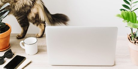 Почему я непродуктивный? 5 привычек, которые мешают нам эффективно работать