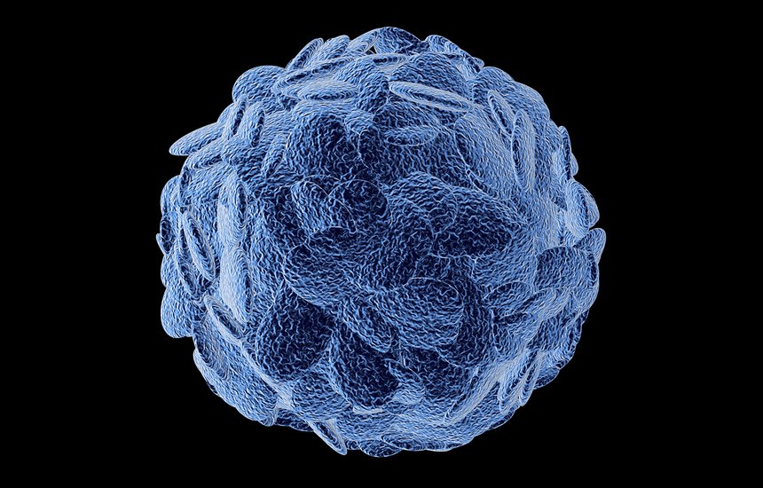 Нобелевская премия. 2025. Медицина. Мэри Э. Бранкоу (Институт системной биологии, Сиэтл, США) . Фред Рамсделл (Sonoma Biotherapeutics, Сан-Франциско, США). Симон Сакагути (Университет Осаки, Осака, Япония). 3D-визуализация Т-клетки. медицинский, антивирус, бактерии, нано, больной, испытание, препарат, красный, 3d, treg, киллер, Т-хелпер, биология, Т-лимфоциты, вена, распространение, артерия, ядро клетки, Т-клетки, наука, микроскопический, инфекция, анатомия, клеточная мембрана, регуляторный, научный, защита, клетка, вирус, жизнь, микроб, человек, органический, болезнь, генетический, макро, органы, иммунный, терапия, микробиология, здоровье, медицина, кровь, костный мозг, клетки, рецептор, рак, клиника, сыворотка;