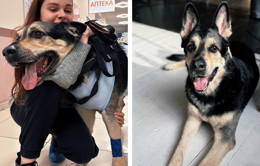 Лана Кин. «Ты же любишь задохликов. Хочешь?»: монолог хозяйки нескольких десятков варанов, рукокрылых и многоножек