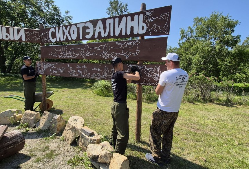 Проводить мастер-классы в музее, помогать с созданием дизайна приморского заповедника