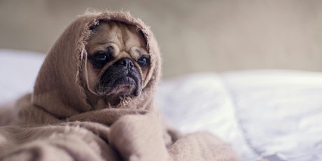 Как перестать просыпаться в середине ночи и вообще спать лучше
