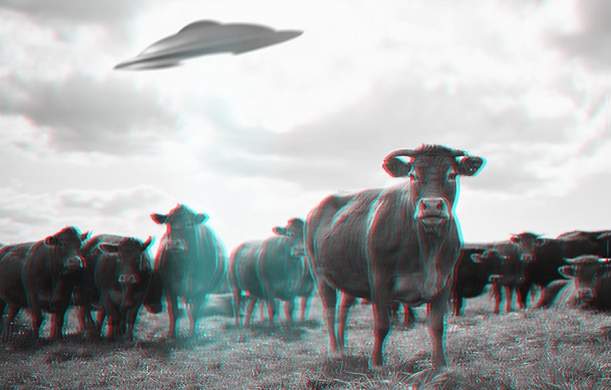 Нло. Летающая тарелка. Скот