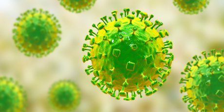 Что известно о смертельном вирусе Нипах из Индии