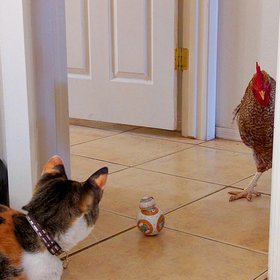 Как навыки фактчекинга помогут не попастьcя на крючок ложных заявлений политиков и маркетологов