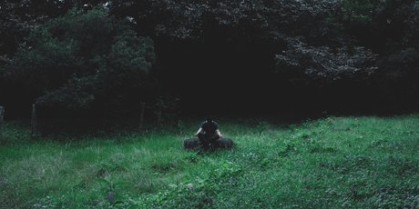 Майндфулнес: кого читать, слушать, смотреть. Блог «Осознанность без эзотерики»