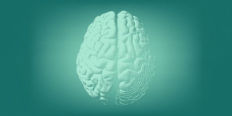 Преодолеваем стереотипы: пять мифов об интеллекте и мышлении