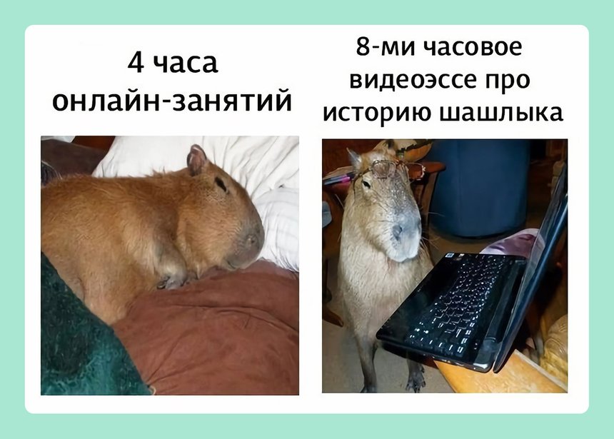 18 мемов на майские праздники — про шашлык, дачу, мир, труд и так далее