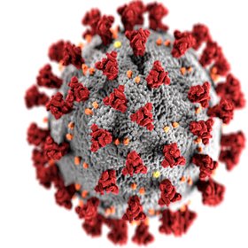 ВОЗ: летальность вируса Нипах варьируется от 40% до 75% в зависимости от штамма