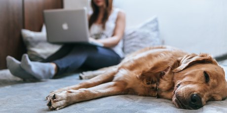 Когда все достало, но нужно работать: 5 способов вернуть себе продуктивность